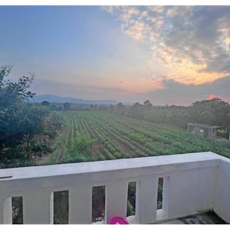 Hari Homestay, Garudeshwar Eksteriør billede